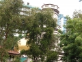 May 2009