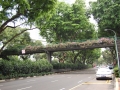 May 2009