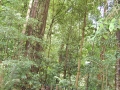 May 2009