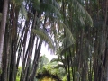 May 2009