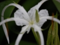 May 2009