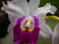 May 2009