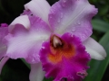 May 2009
