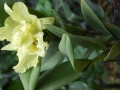 May 2009