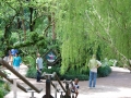 May 2009