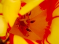 198