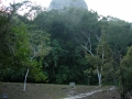 100-DSCN0960