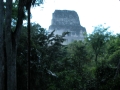101-DSCN0961
