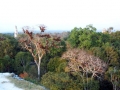 102-Tikal observatorio