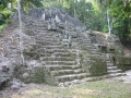 104-Tikal3