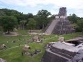 108-Tikal7