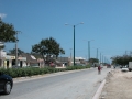 120-DSCN0966