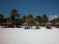 126-DSCN0972