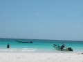 130-DSCN0974