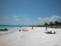 131-DSCN0970