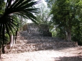 141-DSCN0983