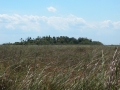 152-DSCN0993