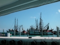 171-DSCN1019