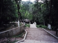 79-63230011