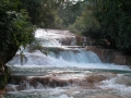 81-DSCN0941