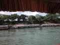 88-DSCN0945