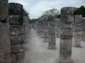 9-DSCN0877
