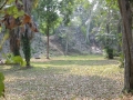 92-Tikal4