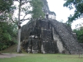 95-DSCN0954