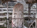 97-DSCN0955